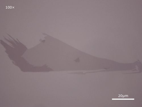Single and Bi layer Graphene flakes on 90 nm of thermally grown SiO2, courtesy of Graphene Industries Ltd