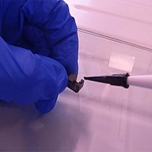 Ferrite being Bonded with Adhesive
