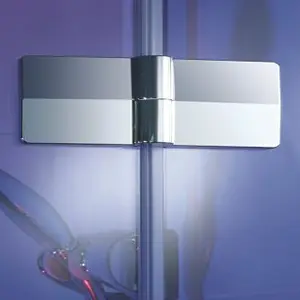 Shower Hinge with Shower Head